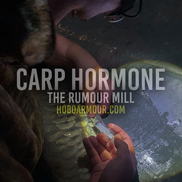 Carp Hormone Rumours