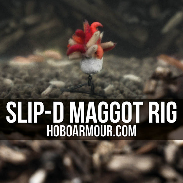 SLIP-D MAGGOT RIG